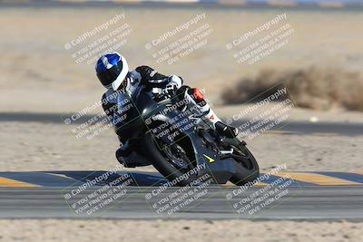 media/Jan-14-2024-SoCal Trackdays (Sun) [[2e55ec21a6]]/Turn 4 Tree of Life (155pm)/